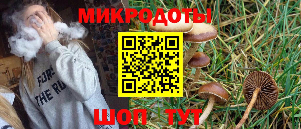 Псилоцибиновые грибы Cubensis Алапаевск